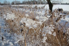 IMG_4077