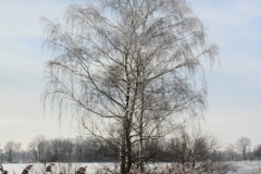 IMG_4078