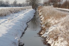 IMG_4083