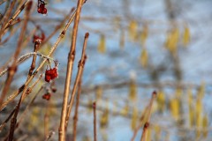 IMG_4085