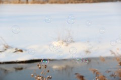 IMG_4373