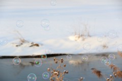 IMG_4374