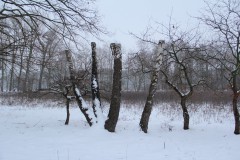 IMG_4096