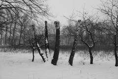 IMG_4096a