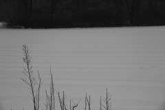 IMG_4117a