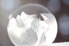 IMG_4442