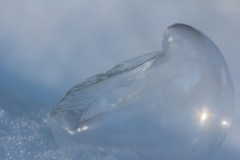 IMG_4457