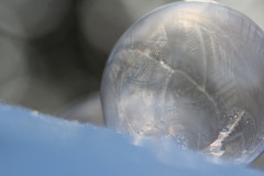 IMG_4459