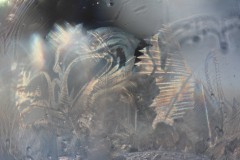 IMG_4466