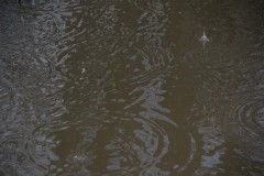 IMG_3844
