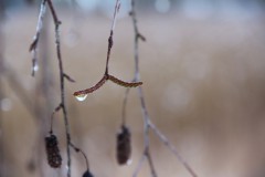 IMG_3860