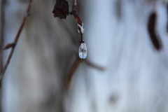 IMG_3862