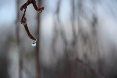 IMG_3863