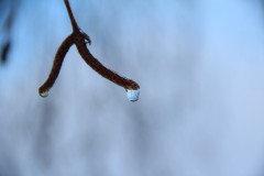 IMG_3866