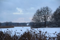 IMG_3871