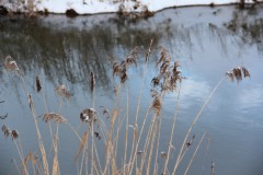 IMG_3873