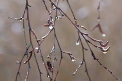 IMG_3888
