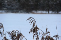 IMG_3889