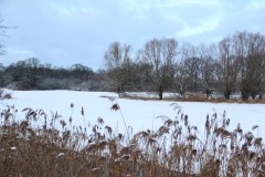 IMG_3891