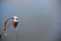 IMG_3895