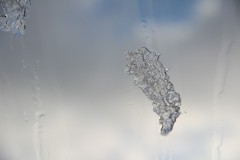 IMG_3924