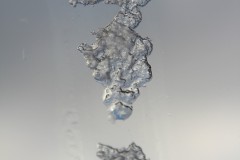 IMG_3925
