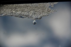 IMG_3935