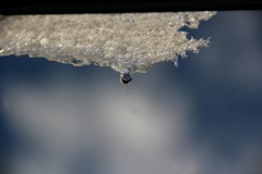 IMG_3943