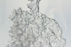 IMG_3953