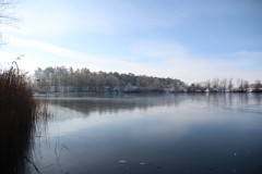 IMG_3970