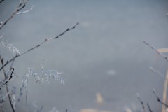 IMG_4022