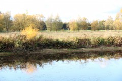 IMG_3197