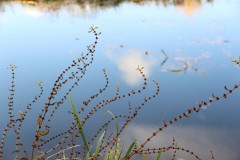 IMG_3202
