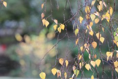 IMG_3216