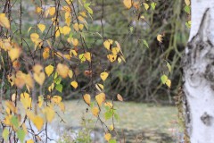 IMG_3225