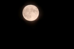 IMG_3250