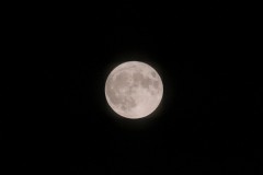IMG_3257