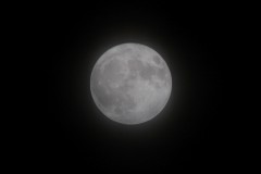 IMG_3263