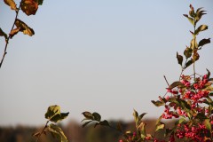 IMG_3284