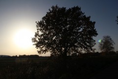 IMG_3298