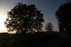 IMG_3300