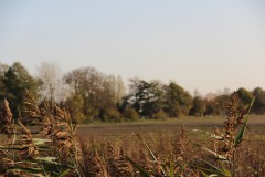 IMG_3309