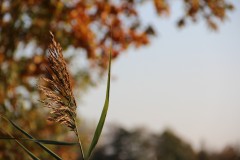 IMG_3311