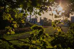 IMG_3786