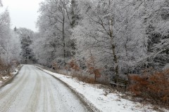 20170208_105843