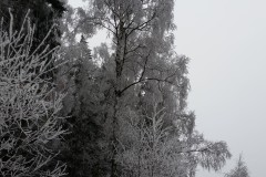 20170208_105847