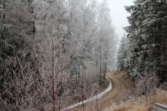 IMG_5003