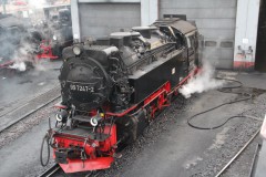 IMG_5006