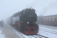 IMG_5019