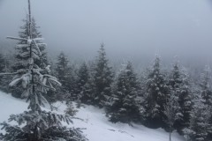 IMG_5034